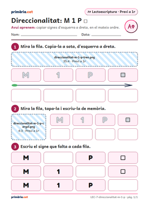 Primera pàgina de la fitxa «Direccionalitat: M 1 P □»